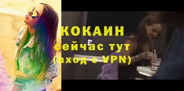 метадон Алексин