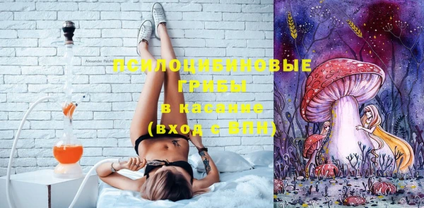 прущие грибы Алексеевка