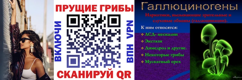 сколько стоит  Оленегорск  Псилоцибиновые грибы Psilocybine cubensis 